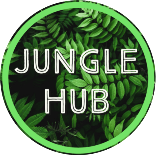 The Jungle Hub